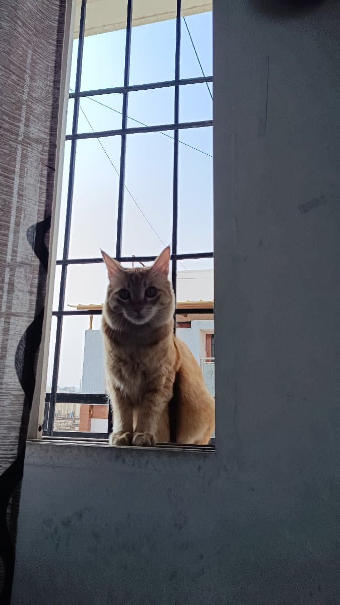 Diksha's home photo 3