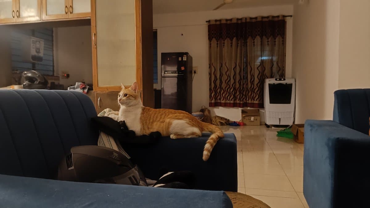 Diksha's home photo 5