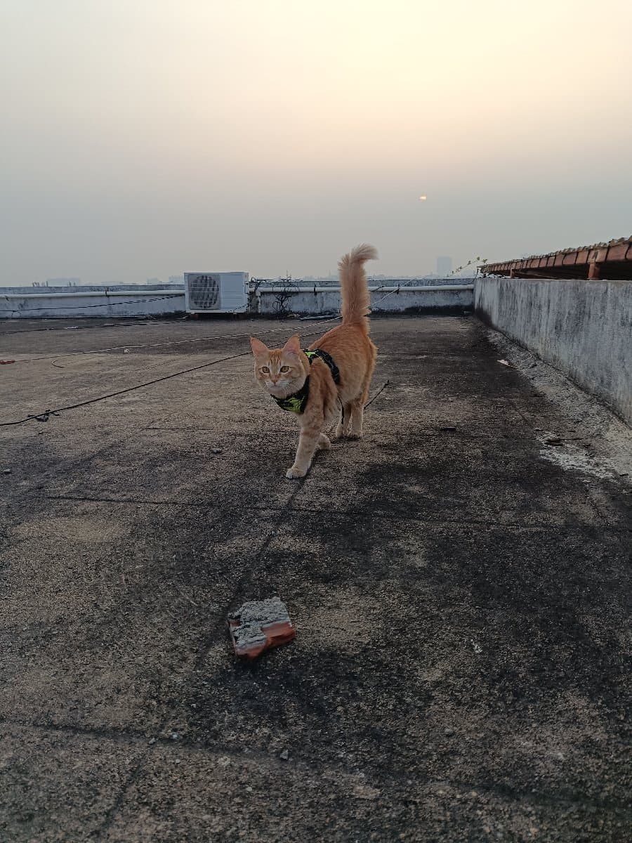 Diksha's home photo 2