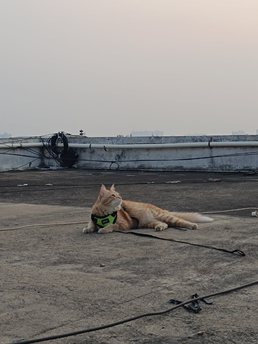 Diksha's home photo 1