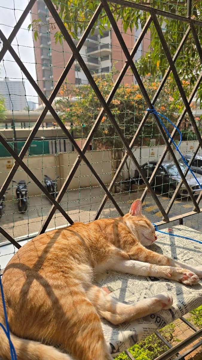 Anusha's home photo 3