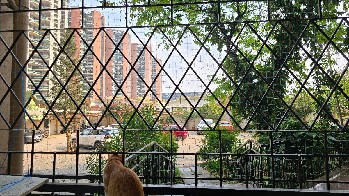 Anusha's home photo 1