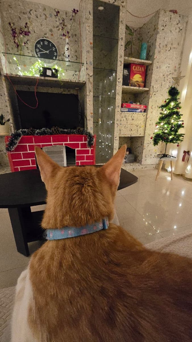 Anusha's home photo 5