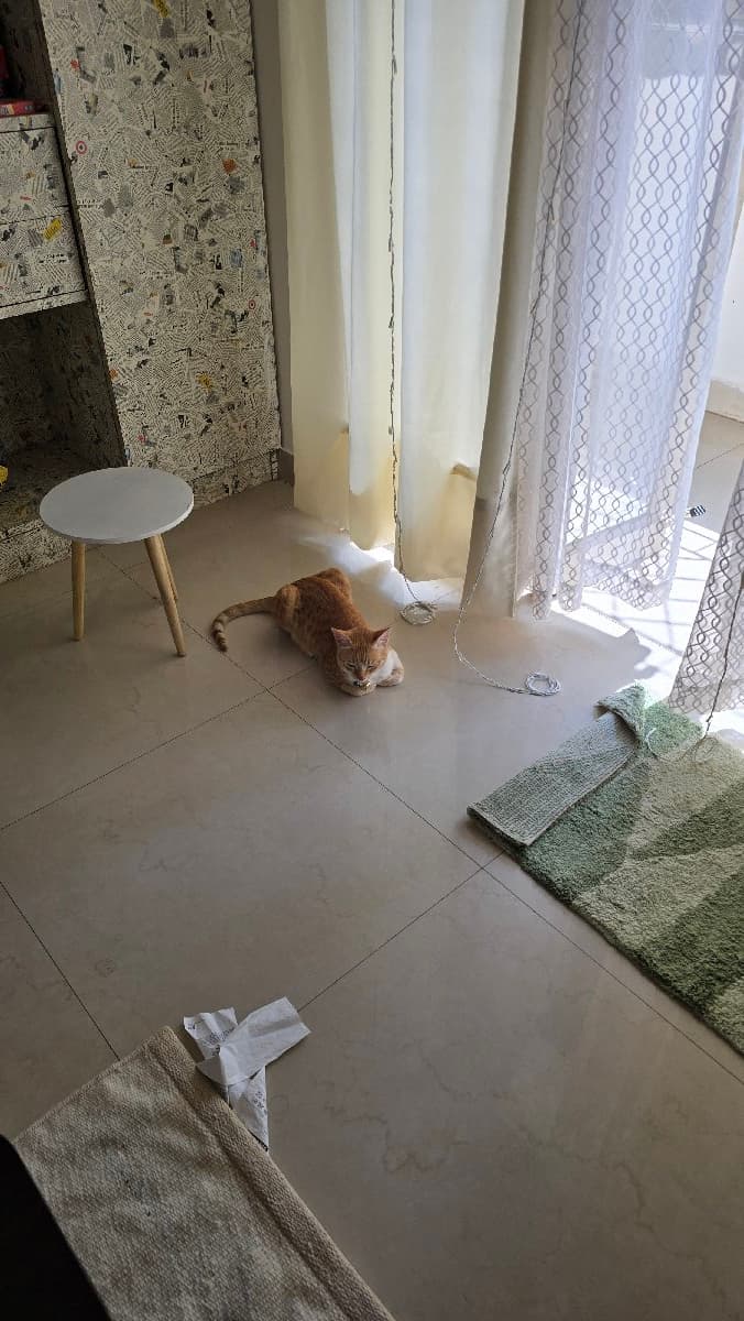 Anusha's home photo 4