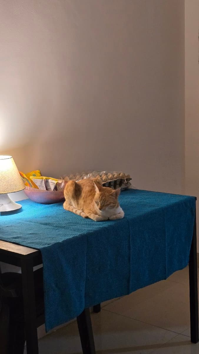 Anusha's home photo 2