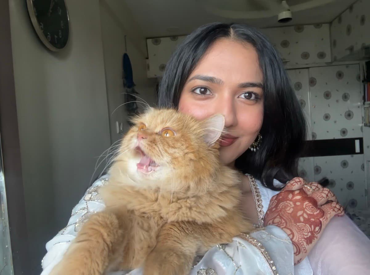 Tahreem's profile photo