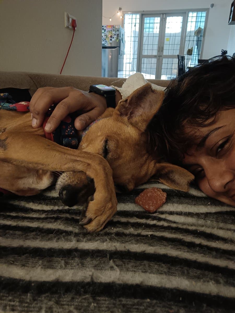 Sanghamitra's home photo 7