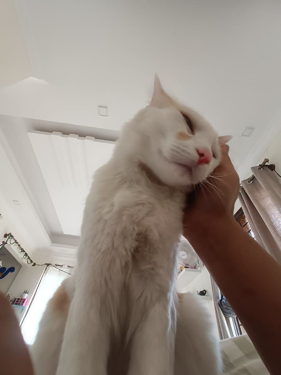 Sanghamitra's home photo 6