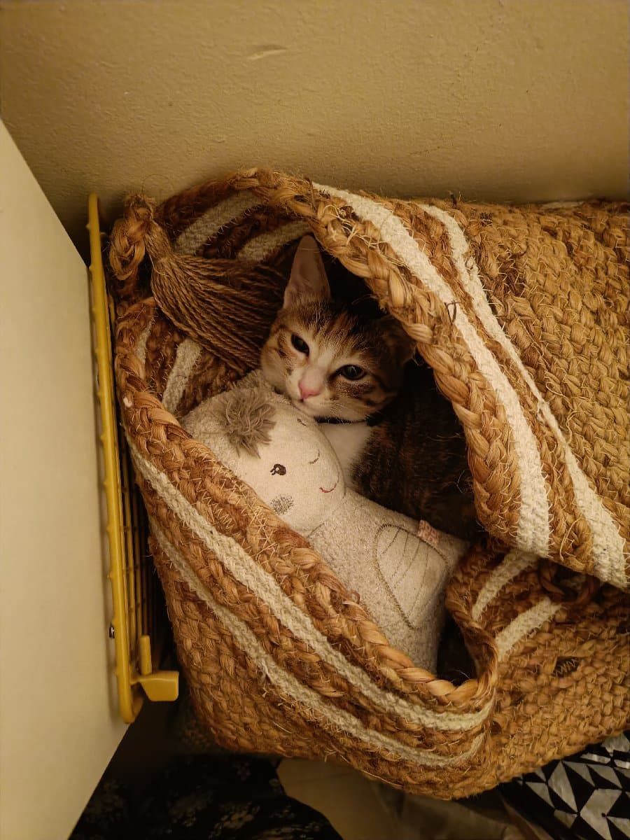 Sanghamitra's home photo 2