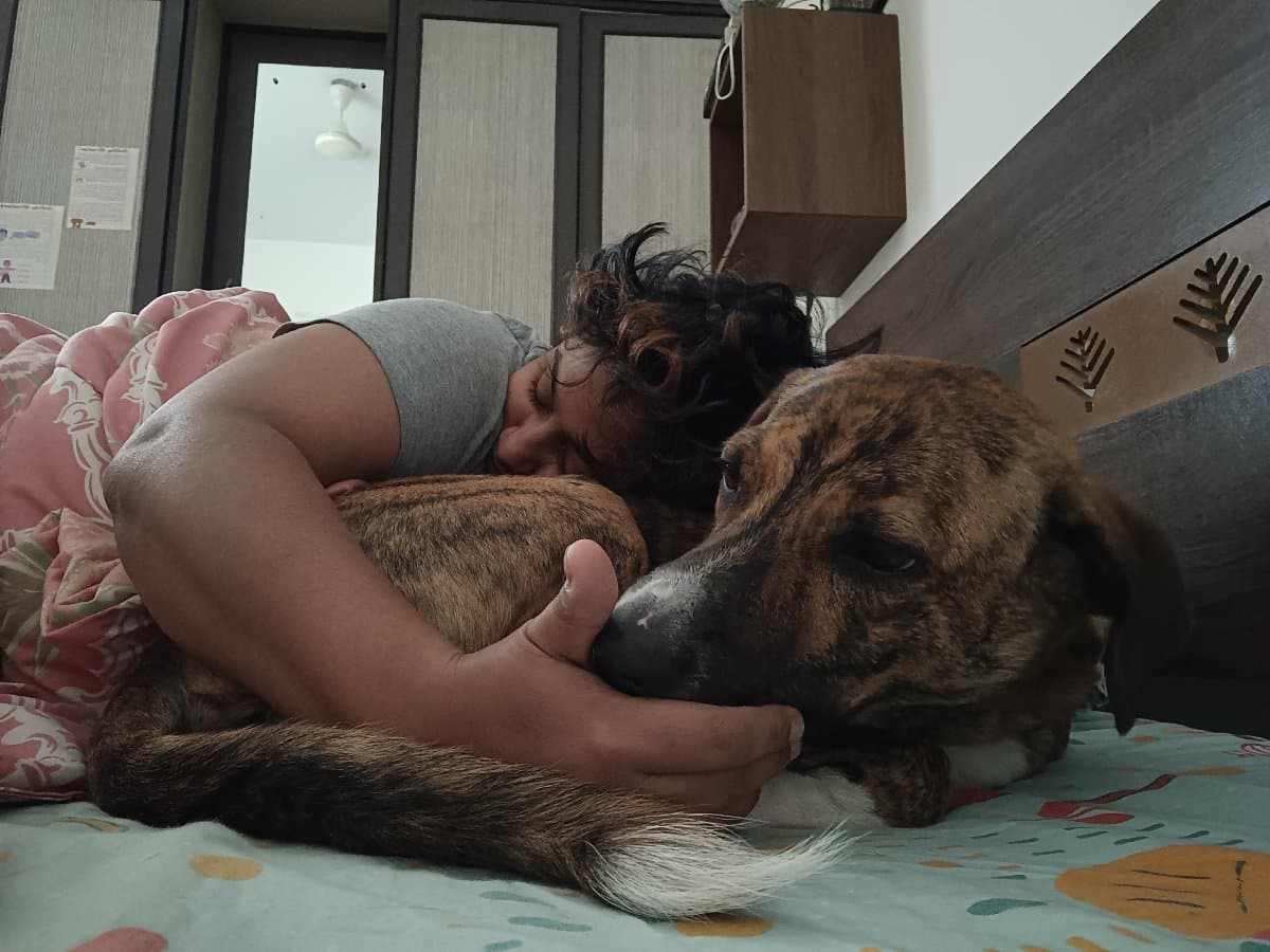 Sanghamitra's home photo 4