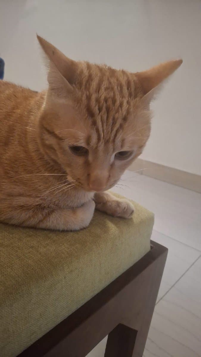 Aakarsha's home photo 3