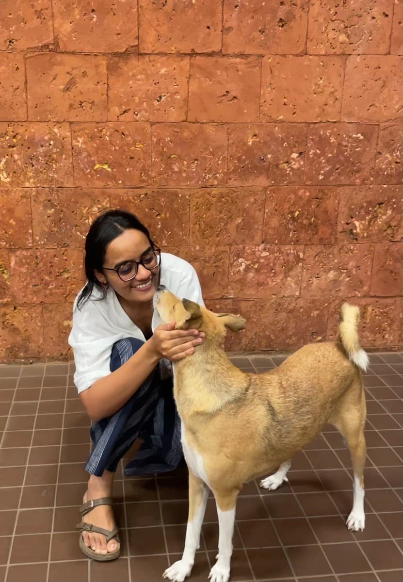 Tanvi's profile photo