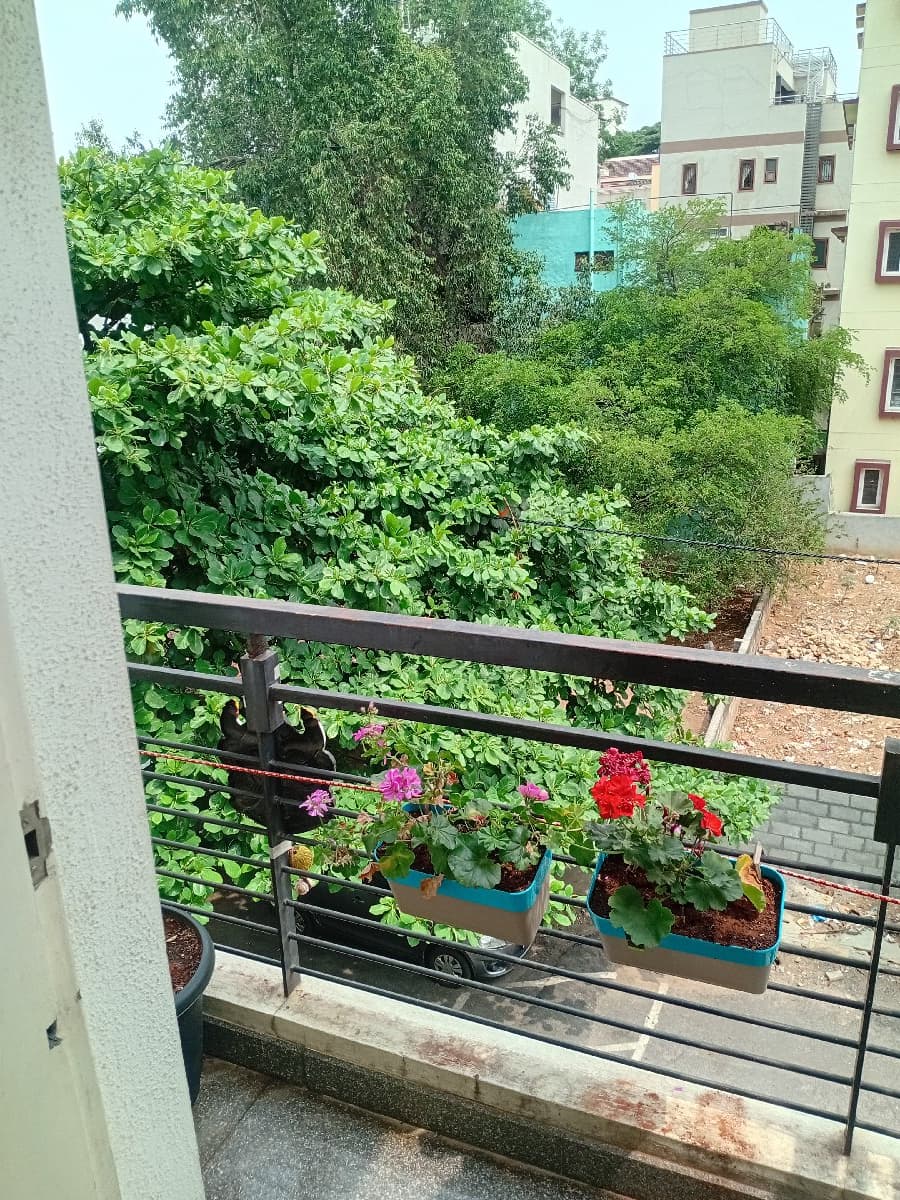 Shivangi's home photo 5