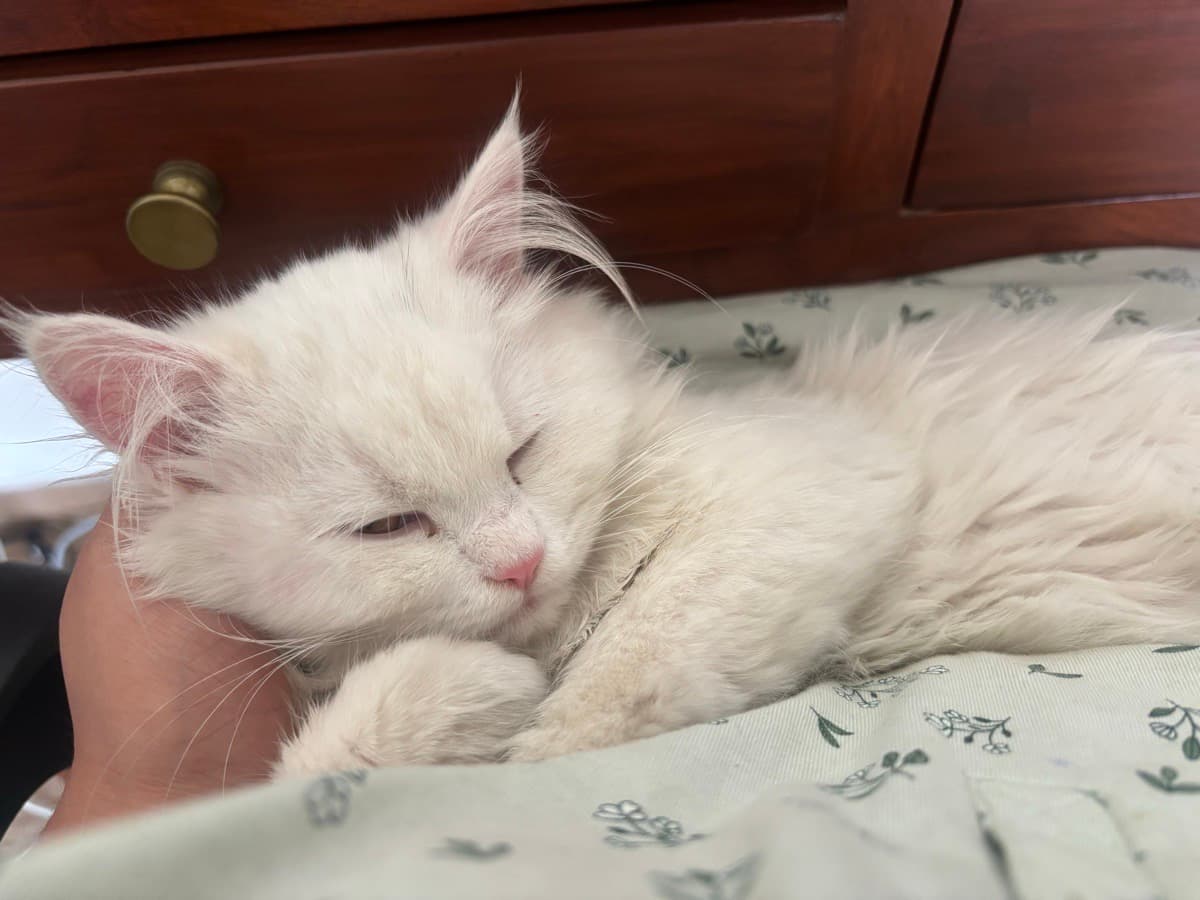 Poorva's home photo 2