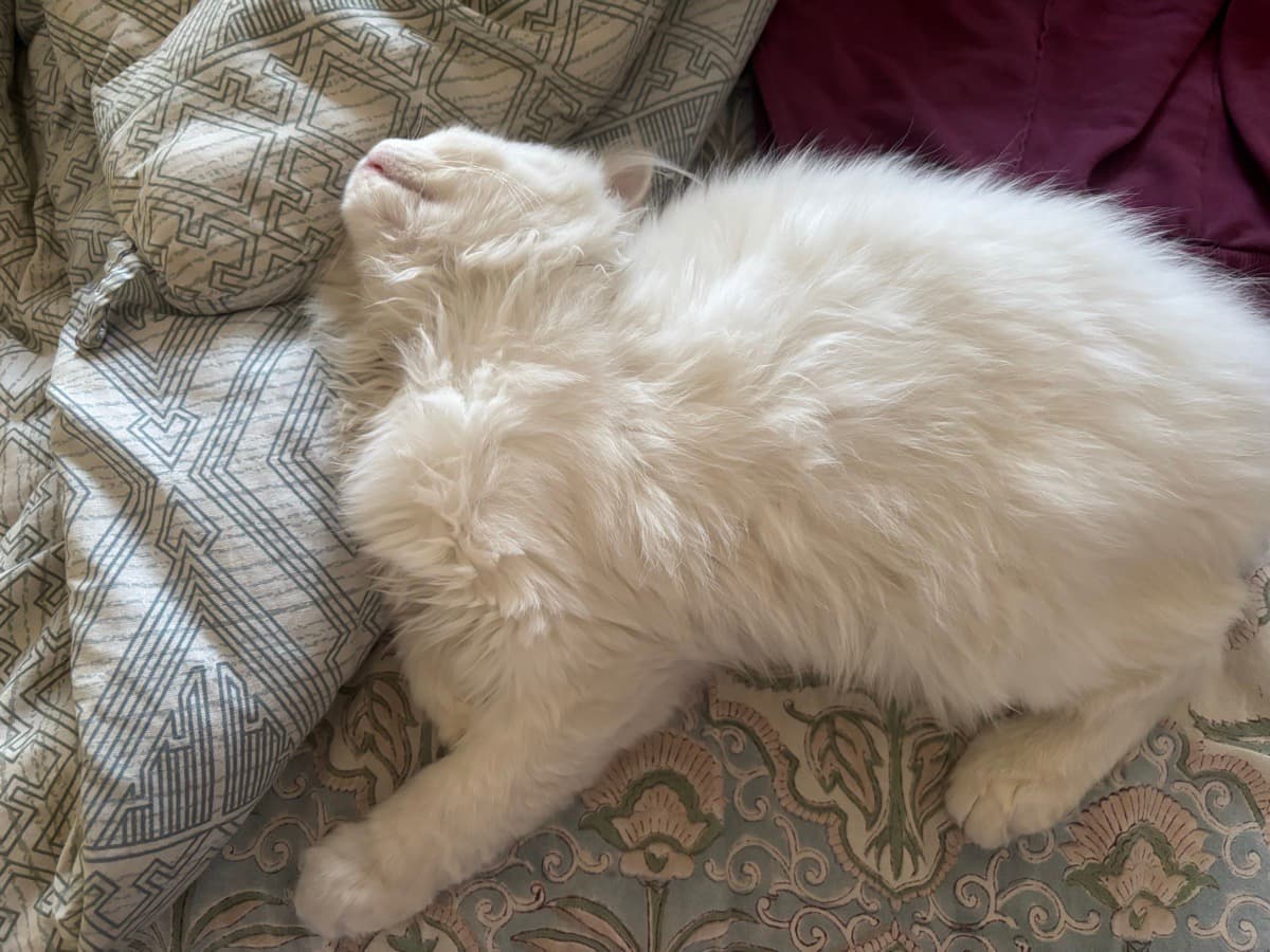 Poorva's home photo 1