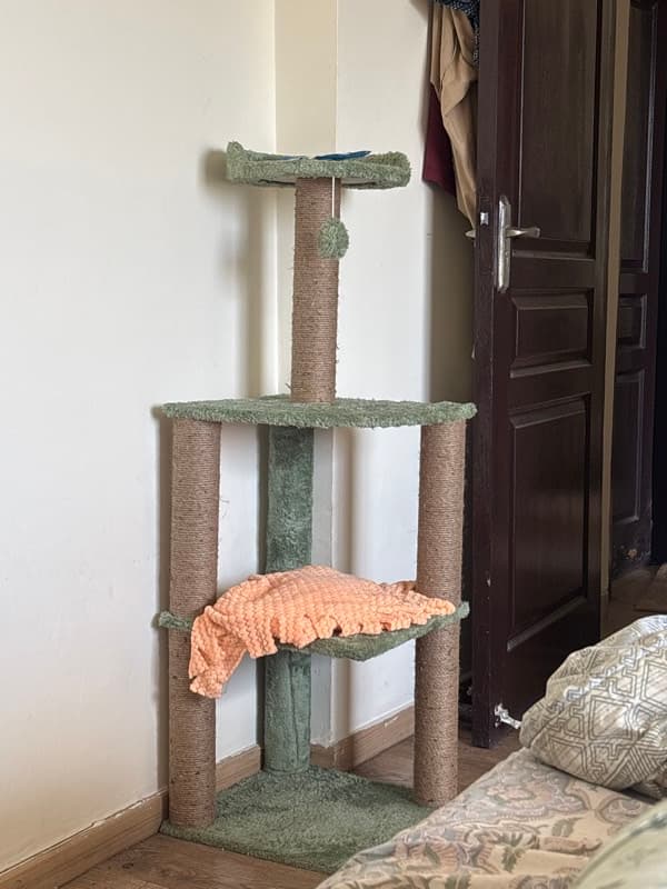 Poorva's home photo 5