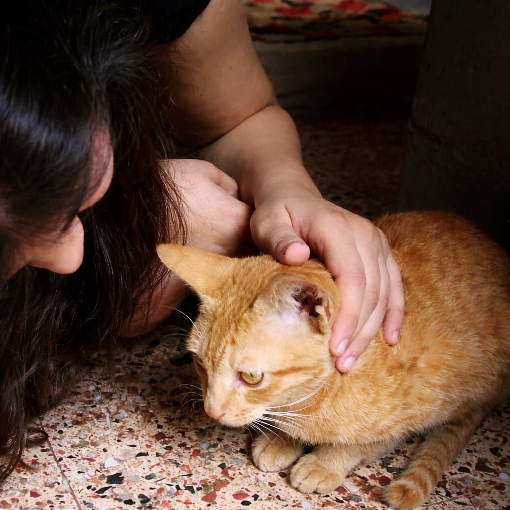 Naina's profile photo