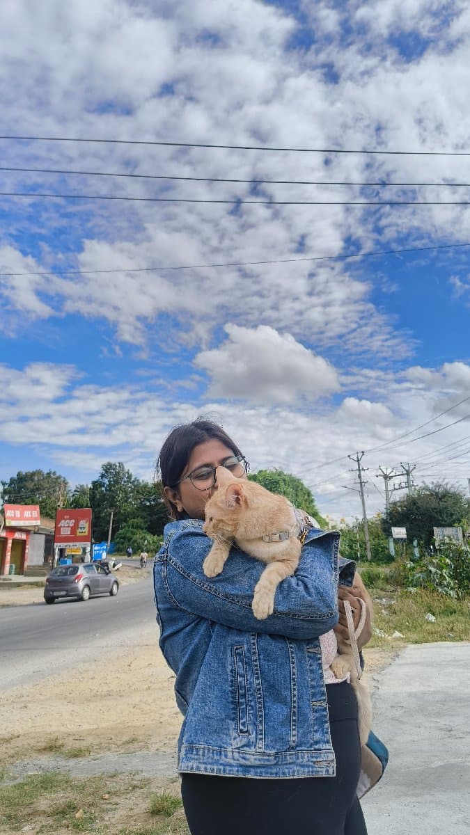 Jyotika's profile photo