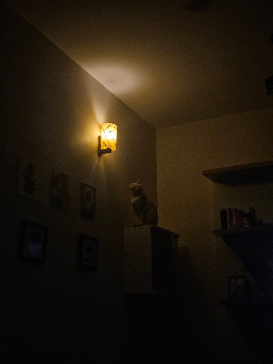 Jyotika's home photo 7