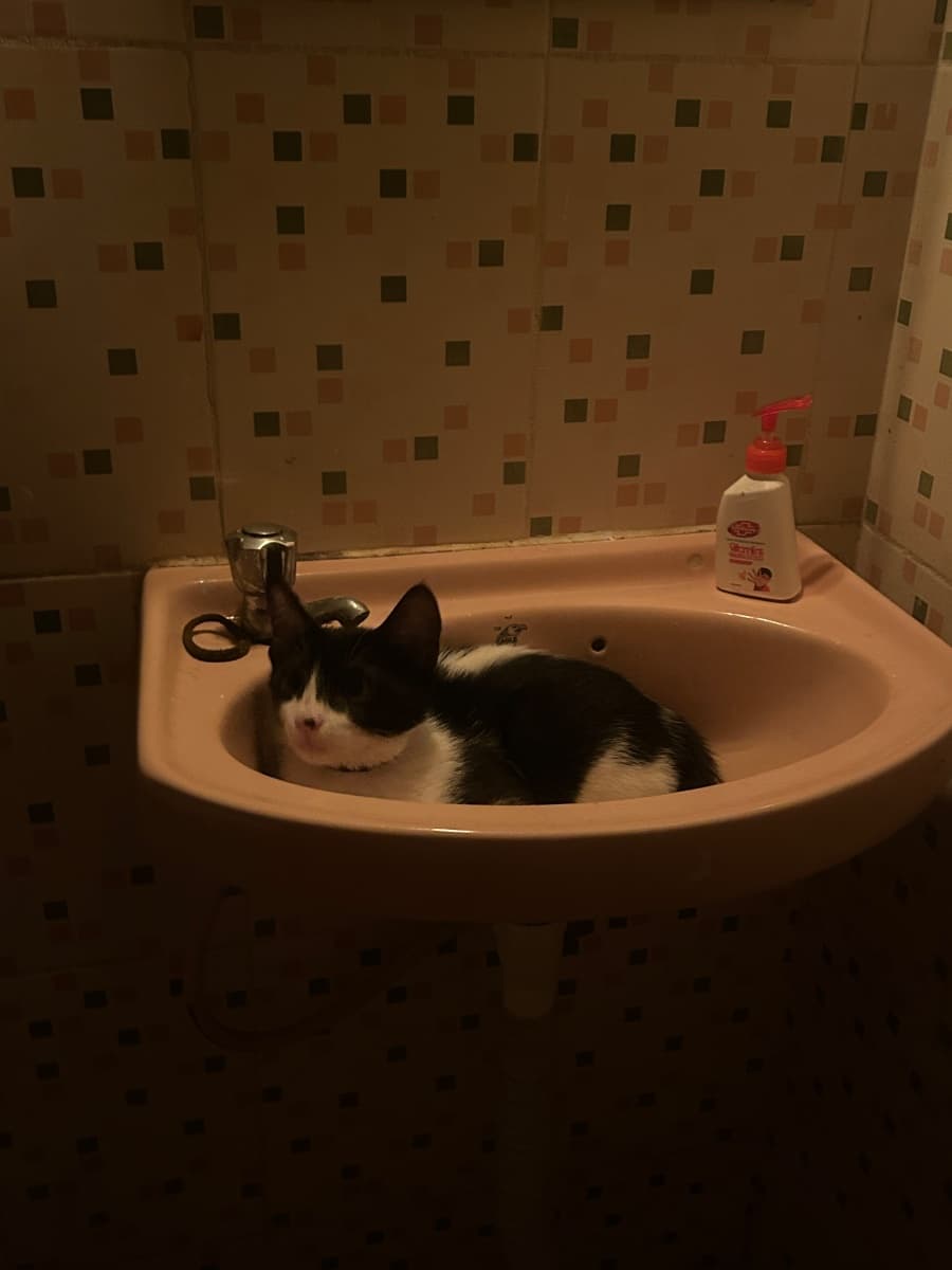 Rachana's home photo 2