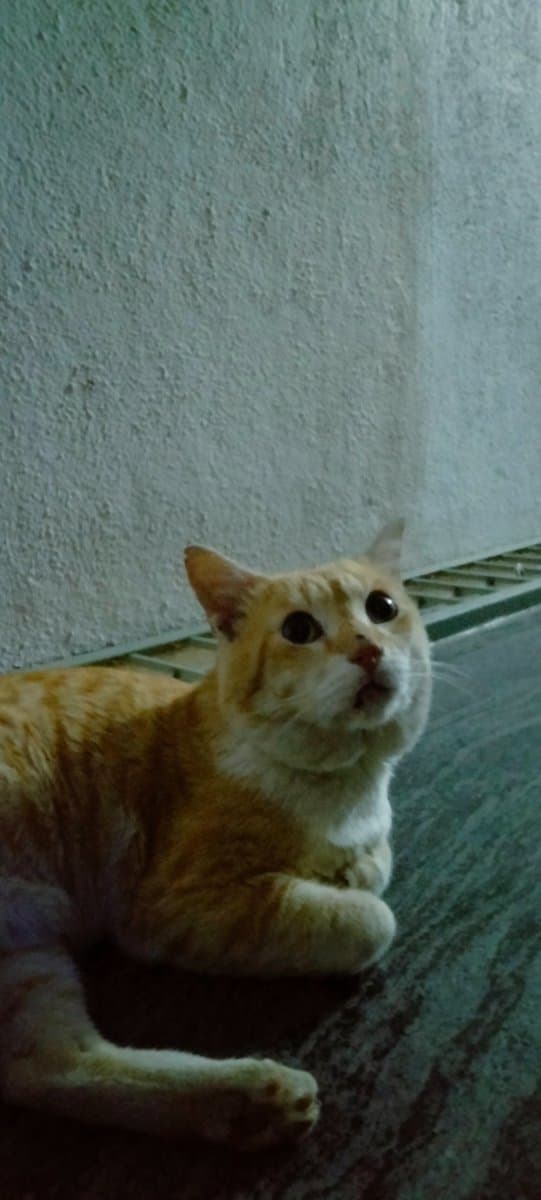 Amrutha's home photo 1