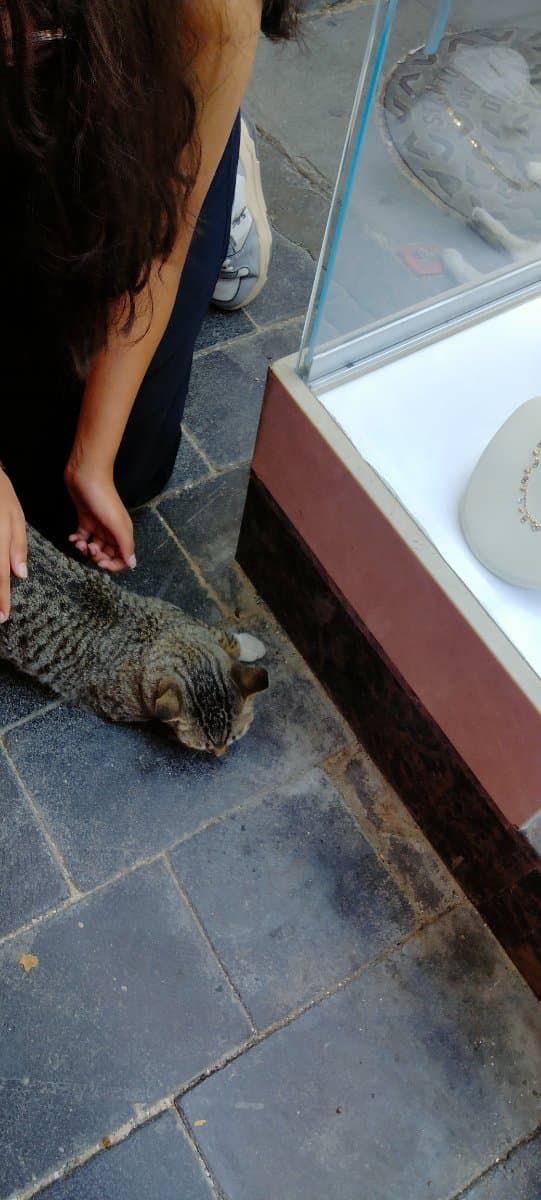 Amrutha's home photo 4