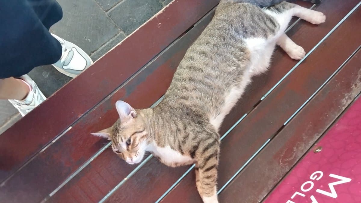 Amrutha's home photo 3