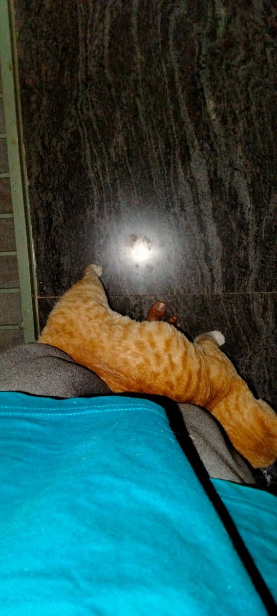 Amrutha's home photo 2