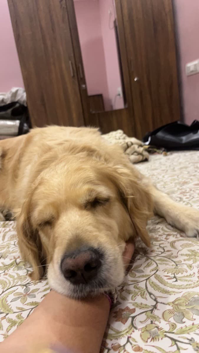 Shreeya's home photo 2