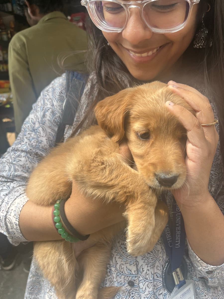 Saanchi's home photo 4