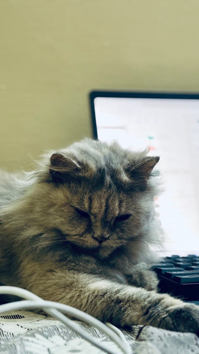 Firoz's home photo 2