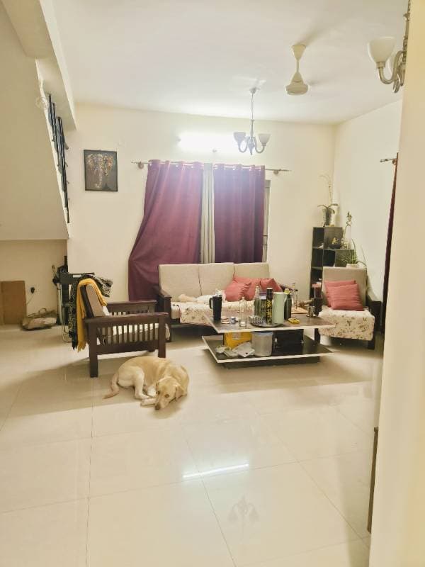 Parakh's home photo 2