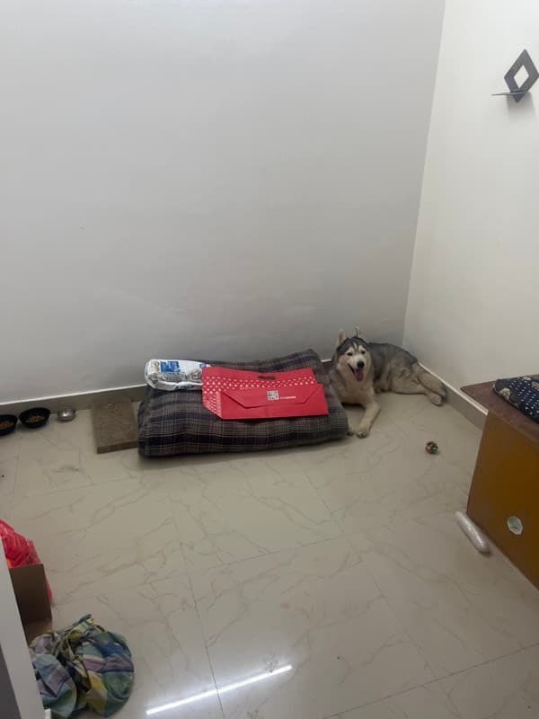 Ritik's home photo 2