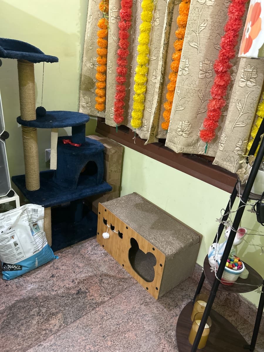 Tahmina's home photo 1