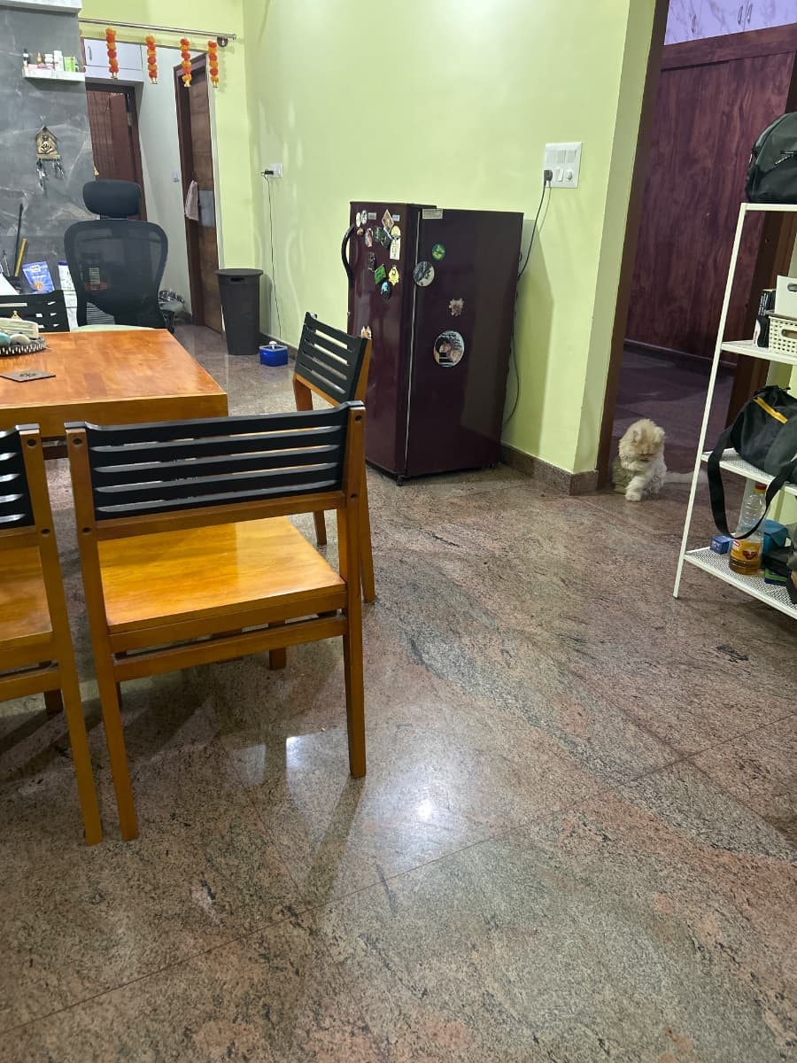 Tahmina's home photo 2