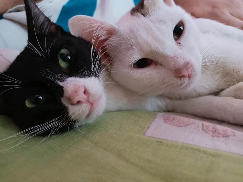 Ashika's home photo 3