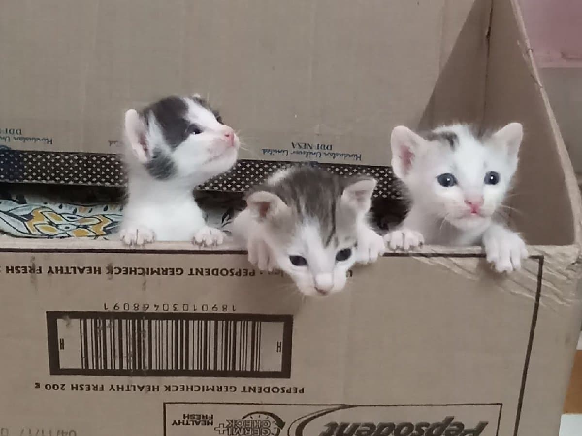 Ashika's home photo 1