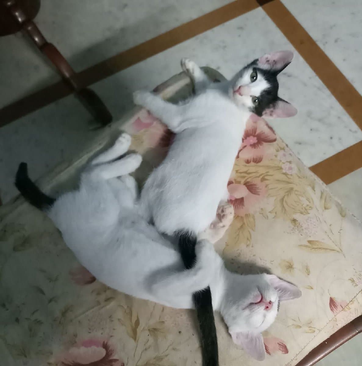 Ashika's home photo 2