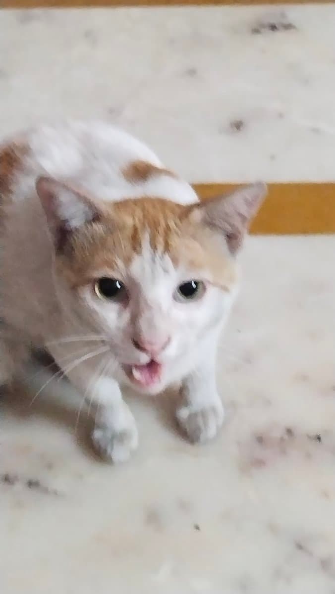 Ashika's profile photo