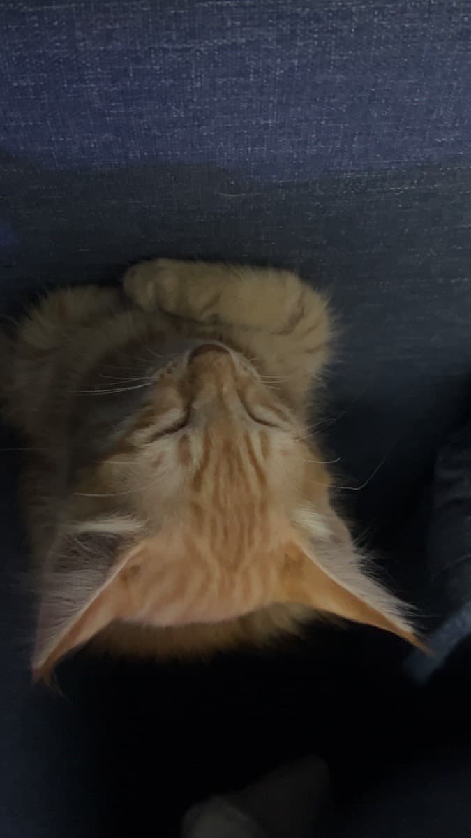 Abhilipsa's home photo 1