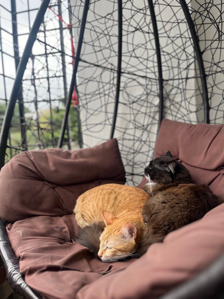 Abhilipsa's home photo 5