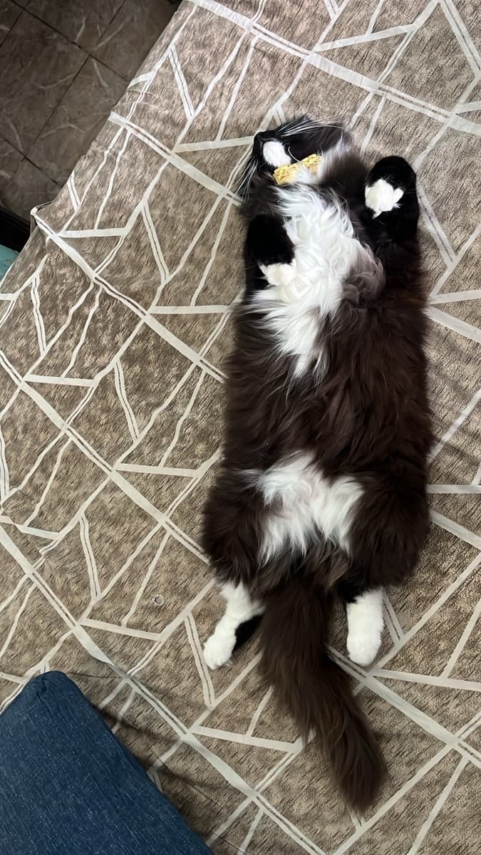 Abhilipsa's home photo 3