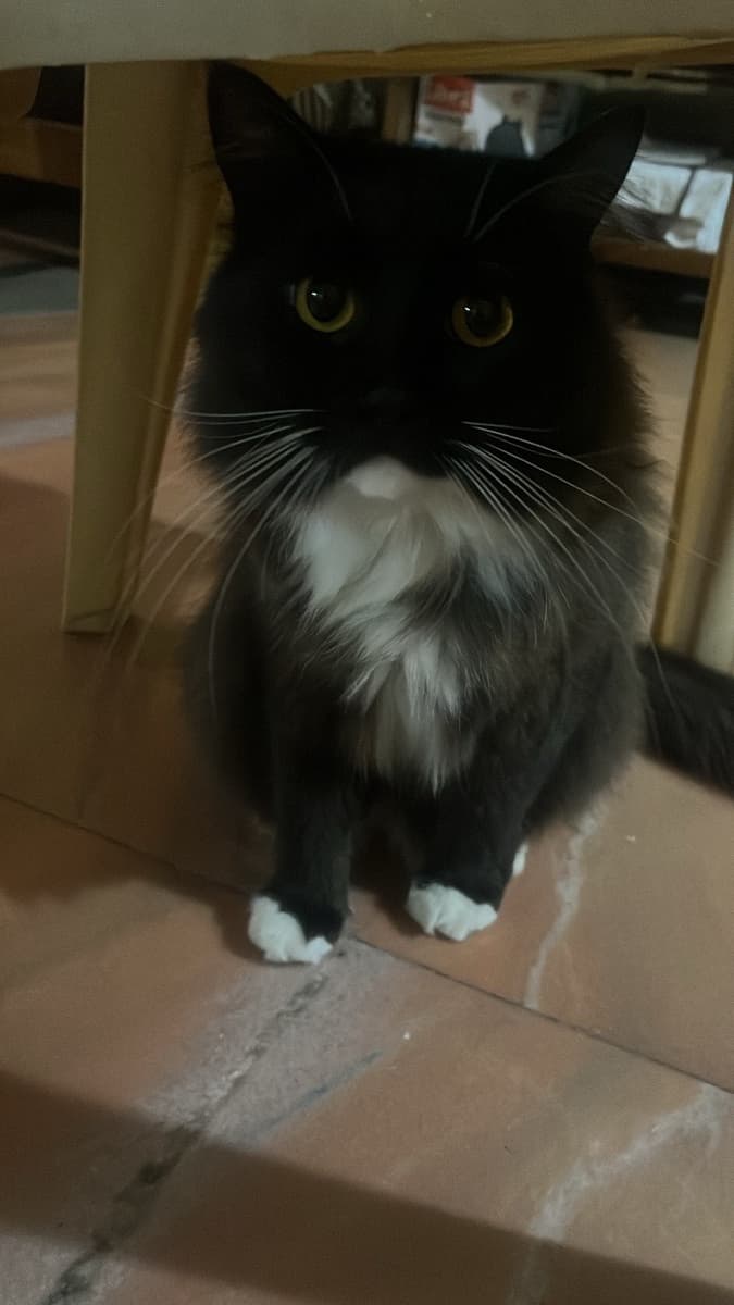 Abhilipsa's home photo 4