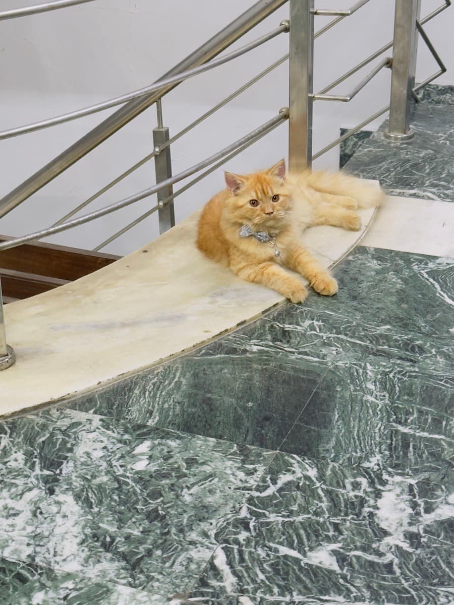 Deeksha's home photo 2