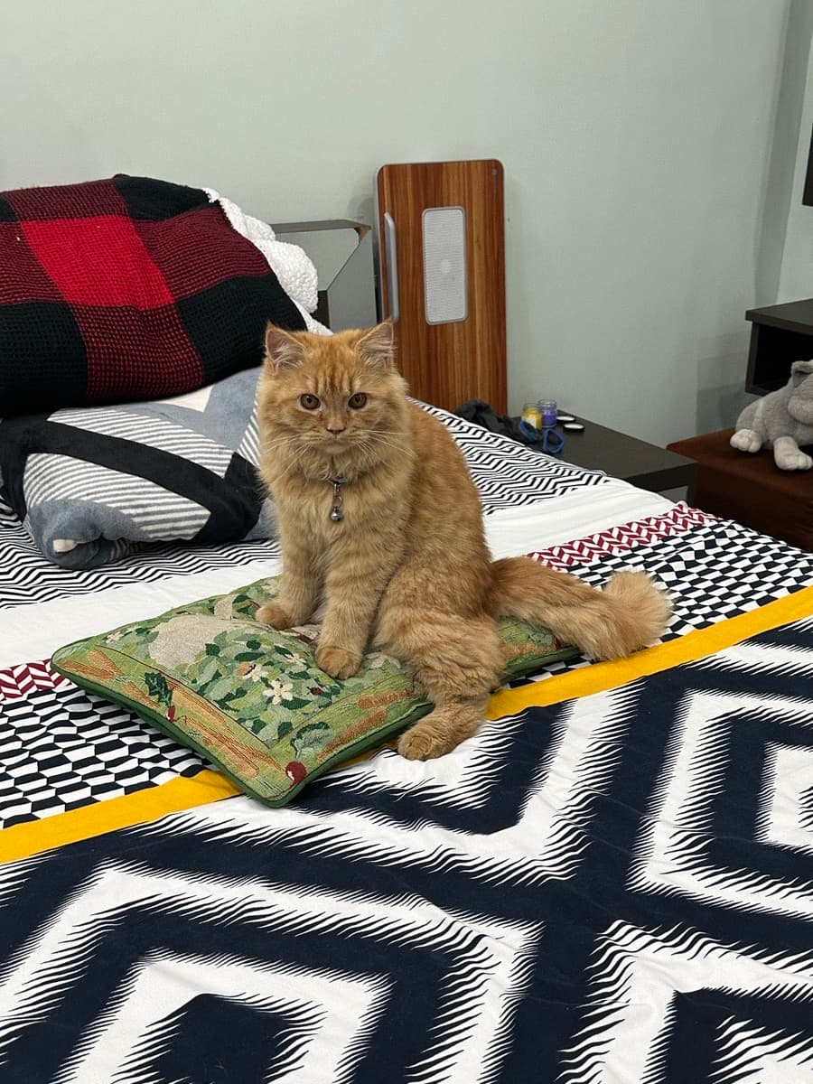 Deeksha's home photo 5