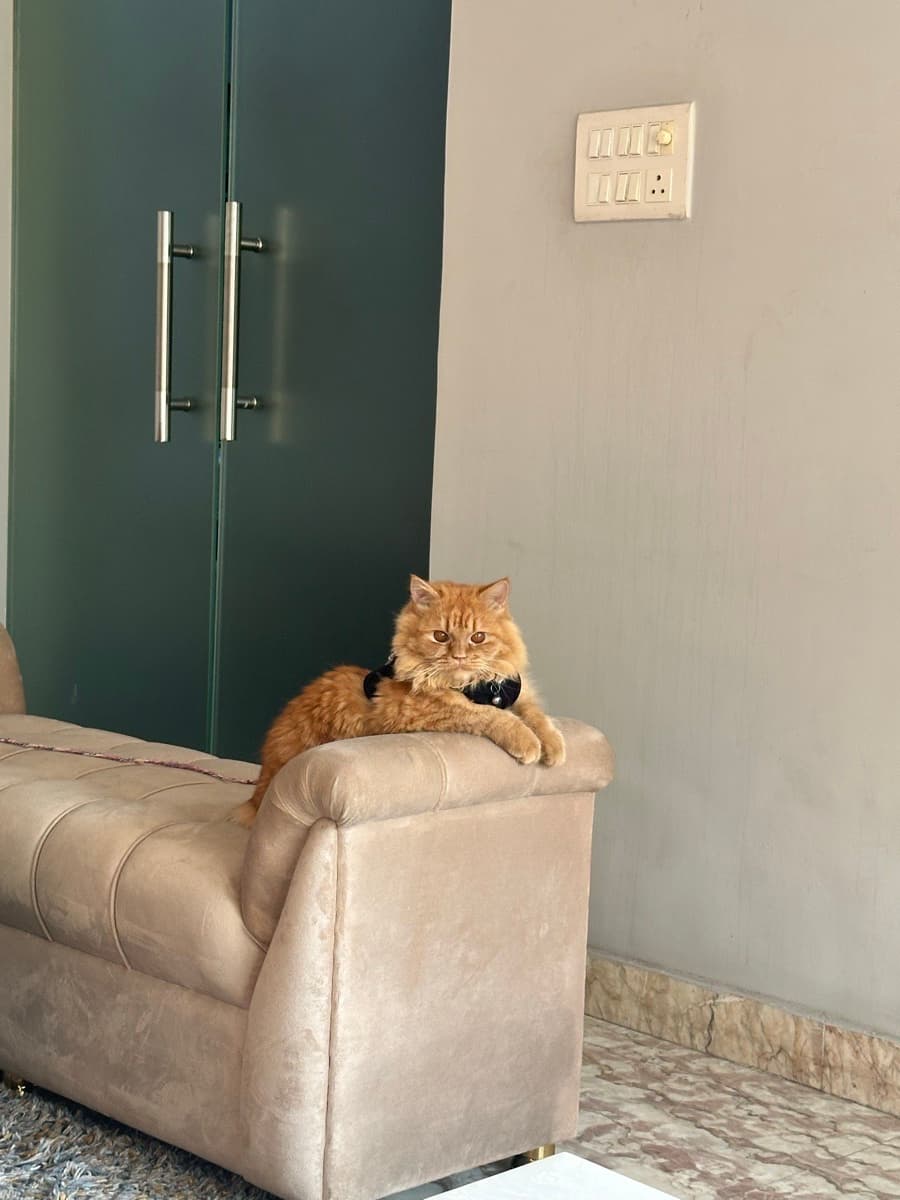 Deeksha's home photo 6