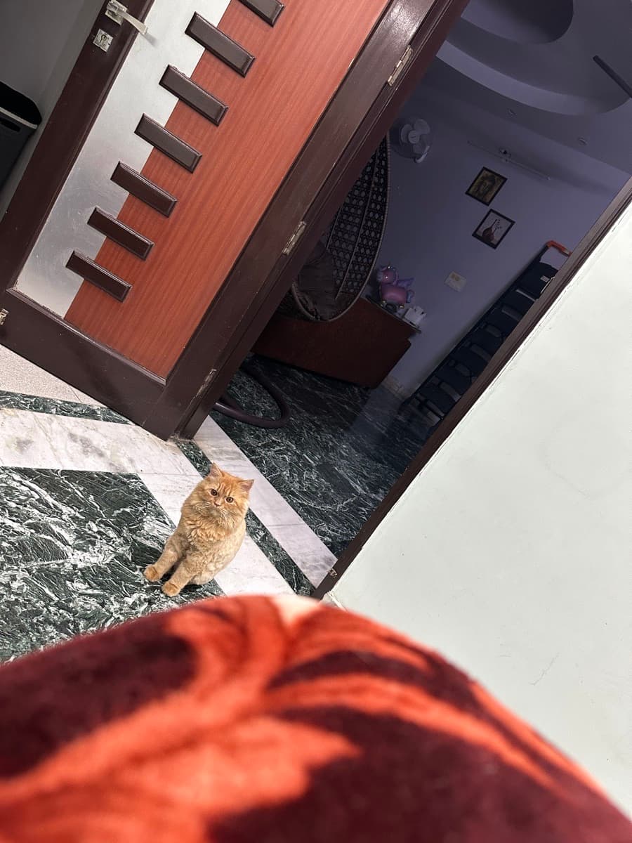 Deeksha's home photo 8