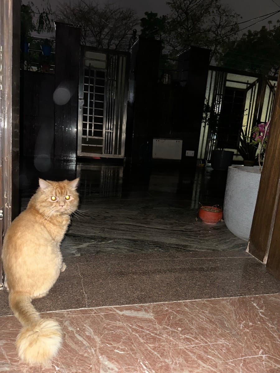 Deeksha's home photo 9