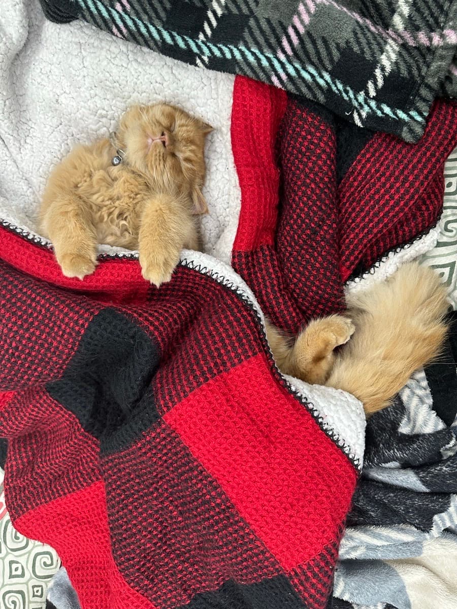 Deeksha's home photo 4