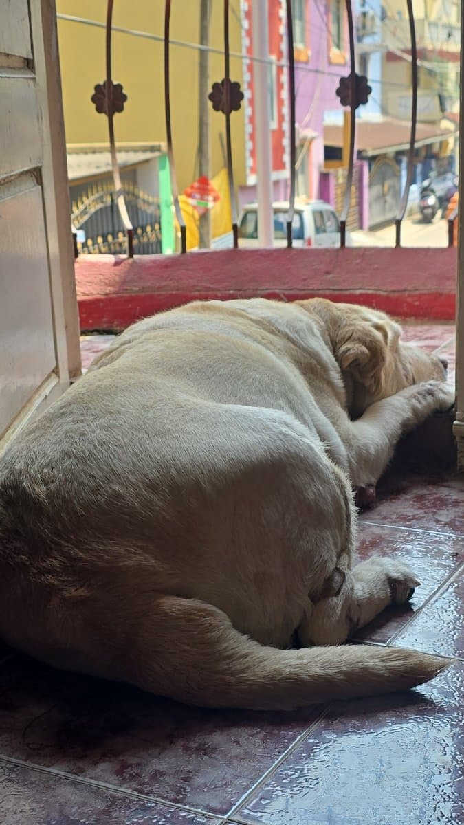 Parameswari's home photo 1